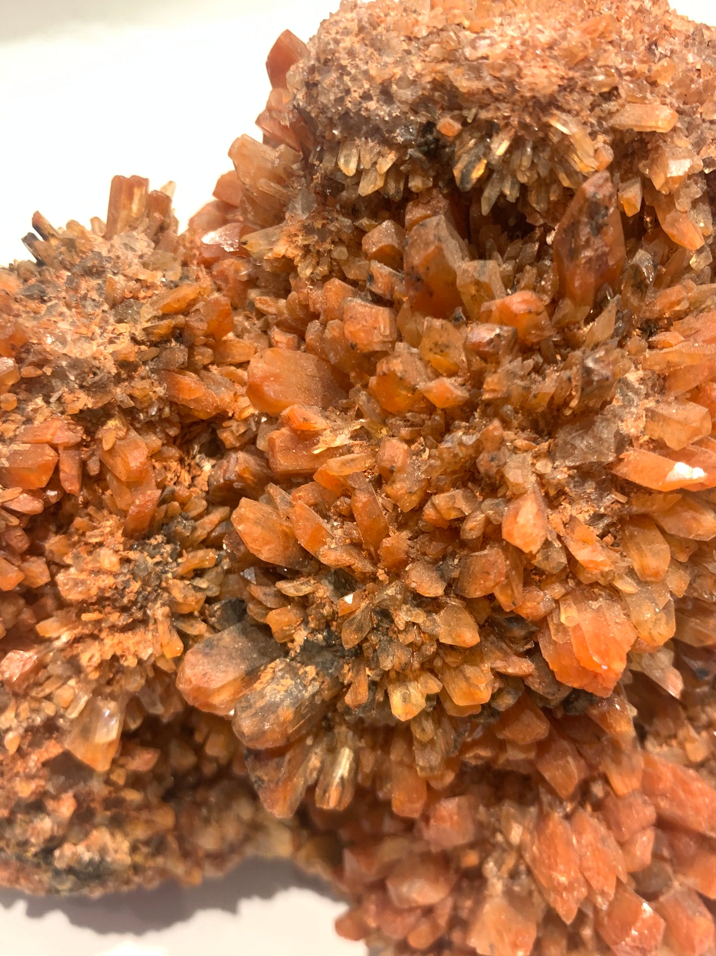 Creedite