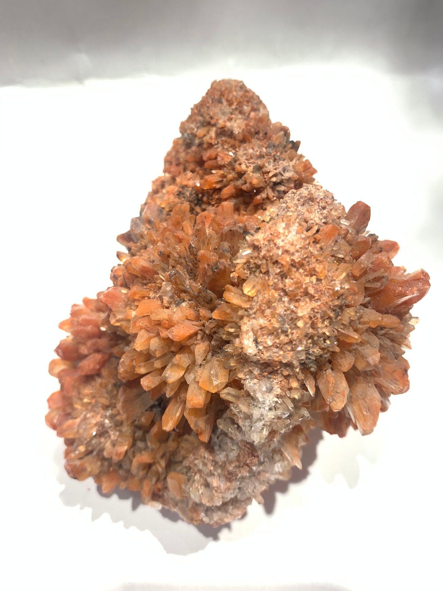 Creedite