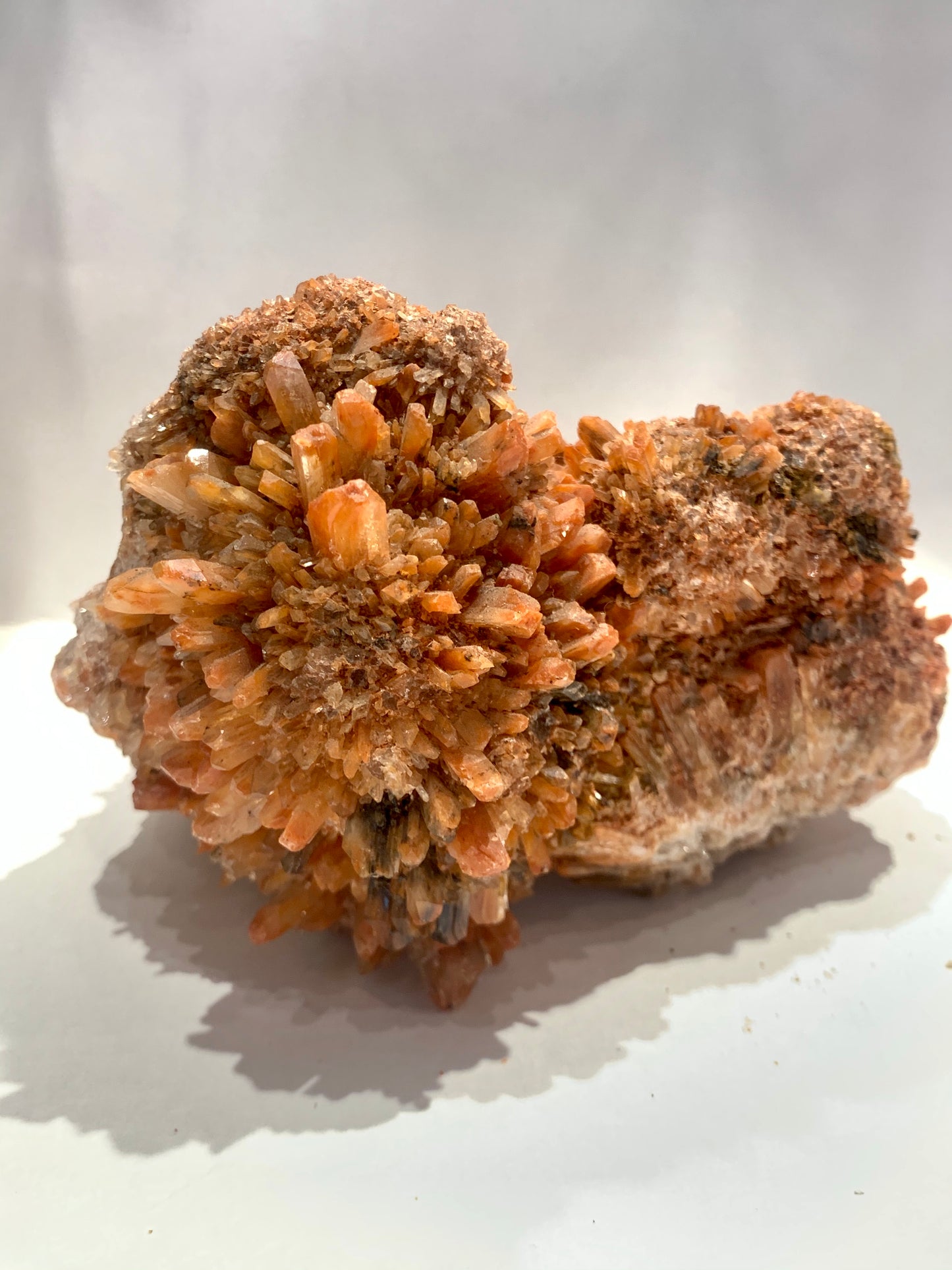 Creedite