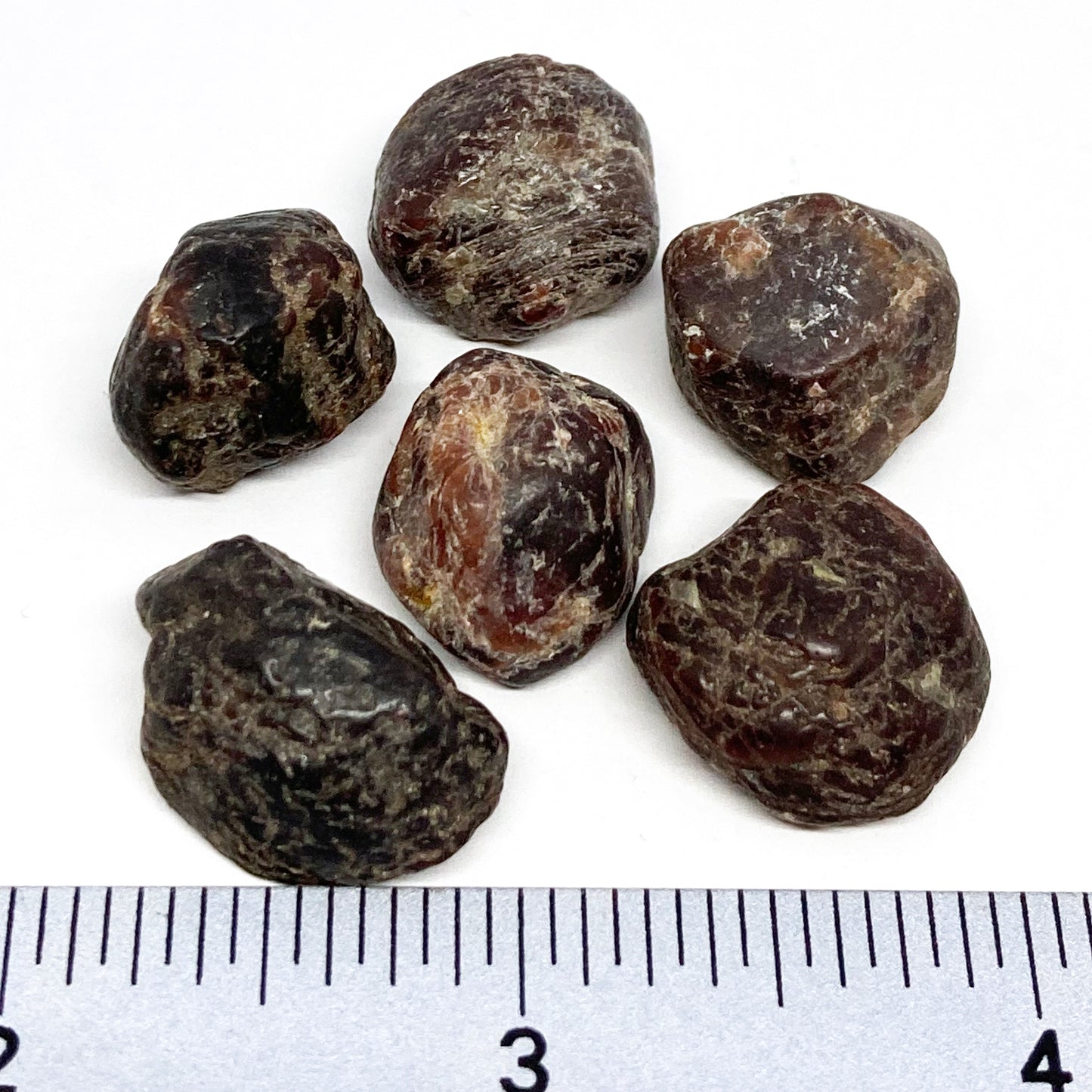 Garnet Raw