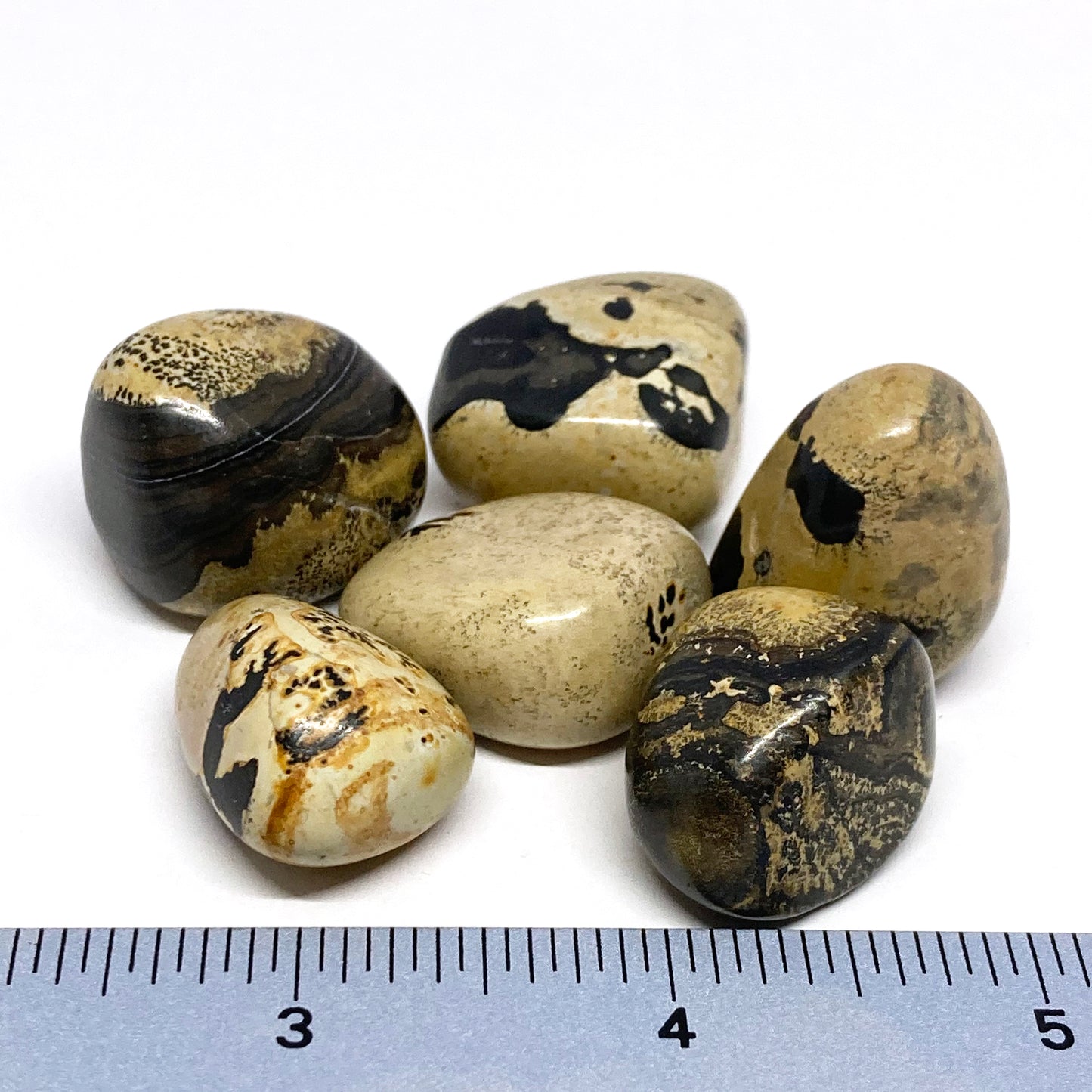 Jasper Cappuccino Tumbled