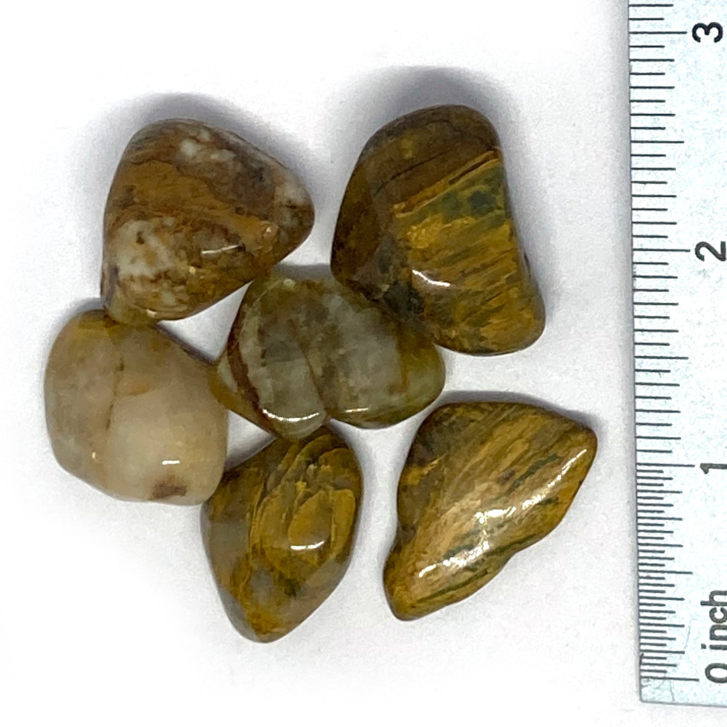Jasper Lion Skin Tumbled