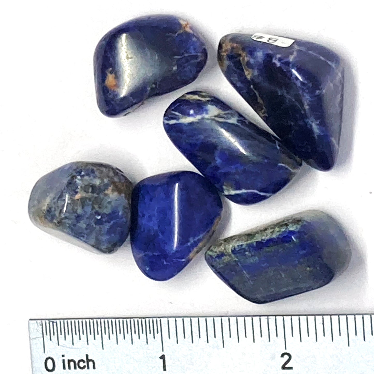 Sodalite Tumbled