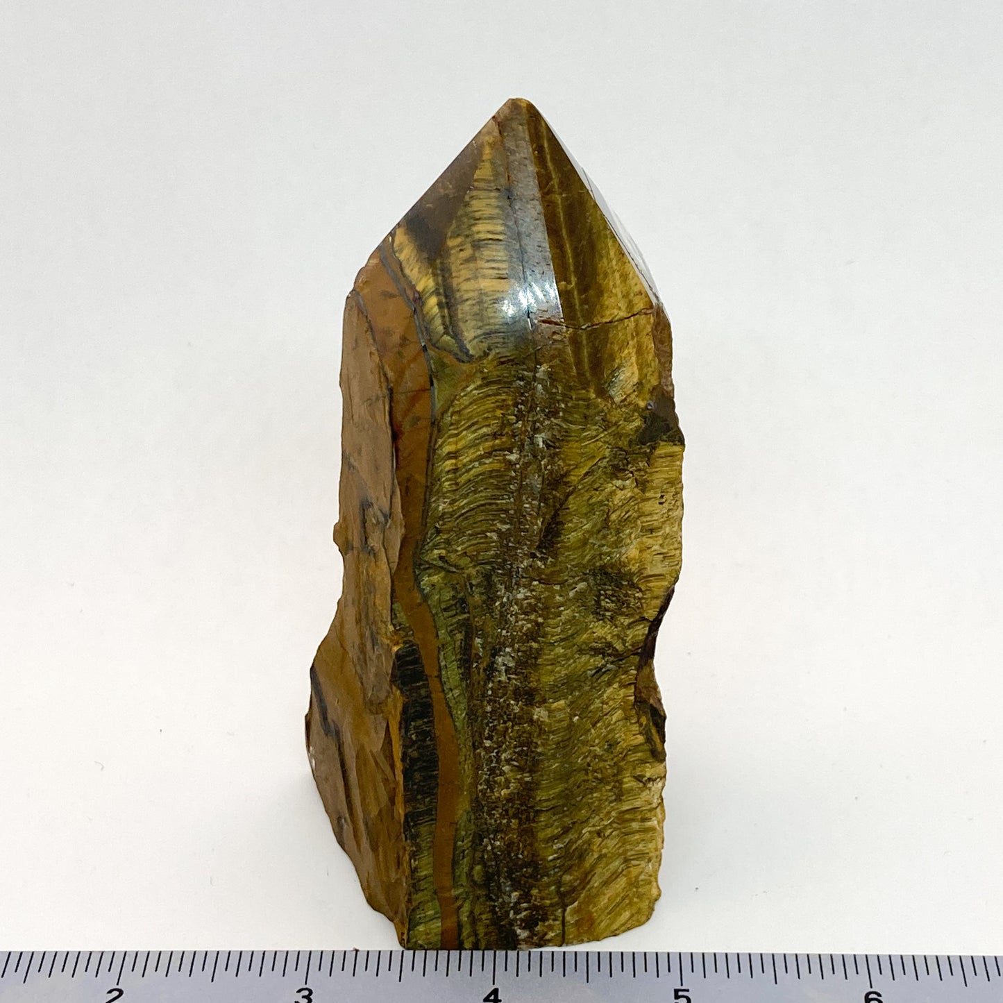 Tiger Eye Point