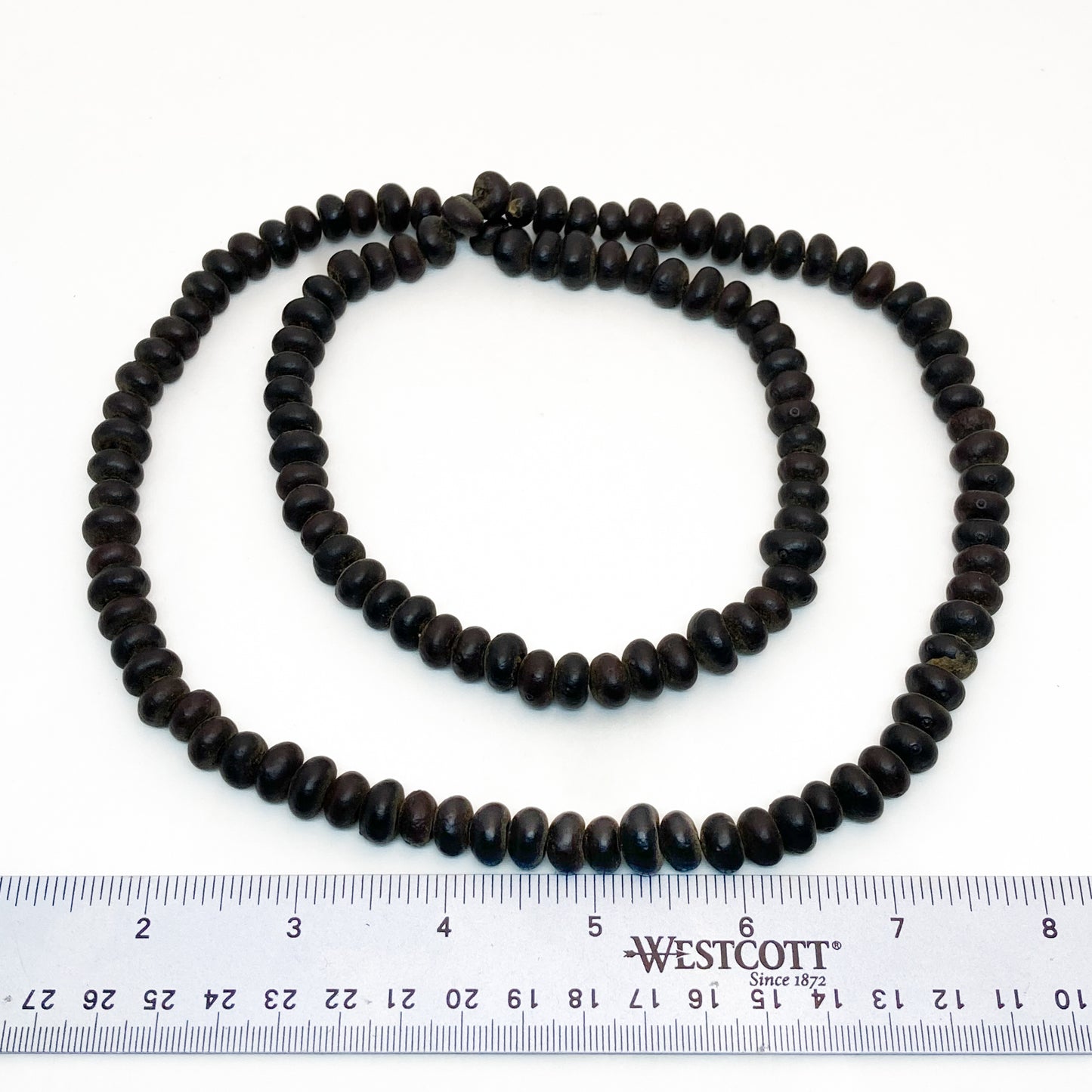 Wild Rainforest Seeds Necklace