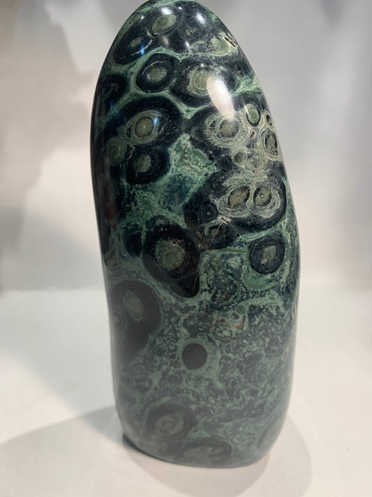 Kambaba Jasper (Nebula Stone)