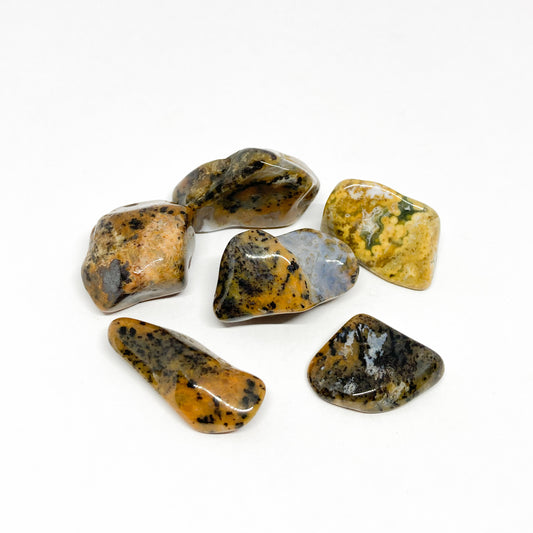 Agate Cheetah Tumbled