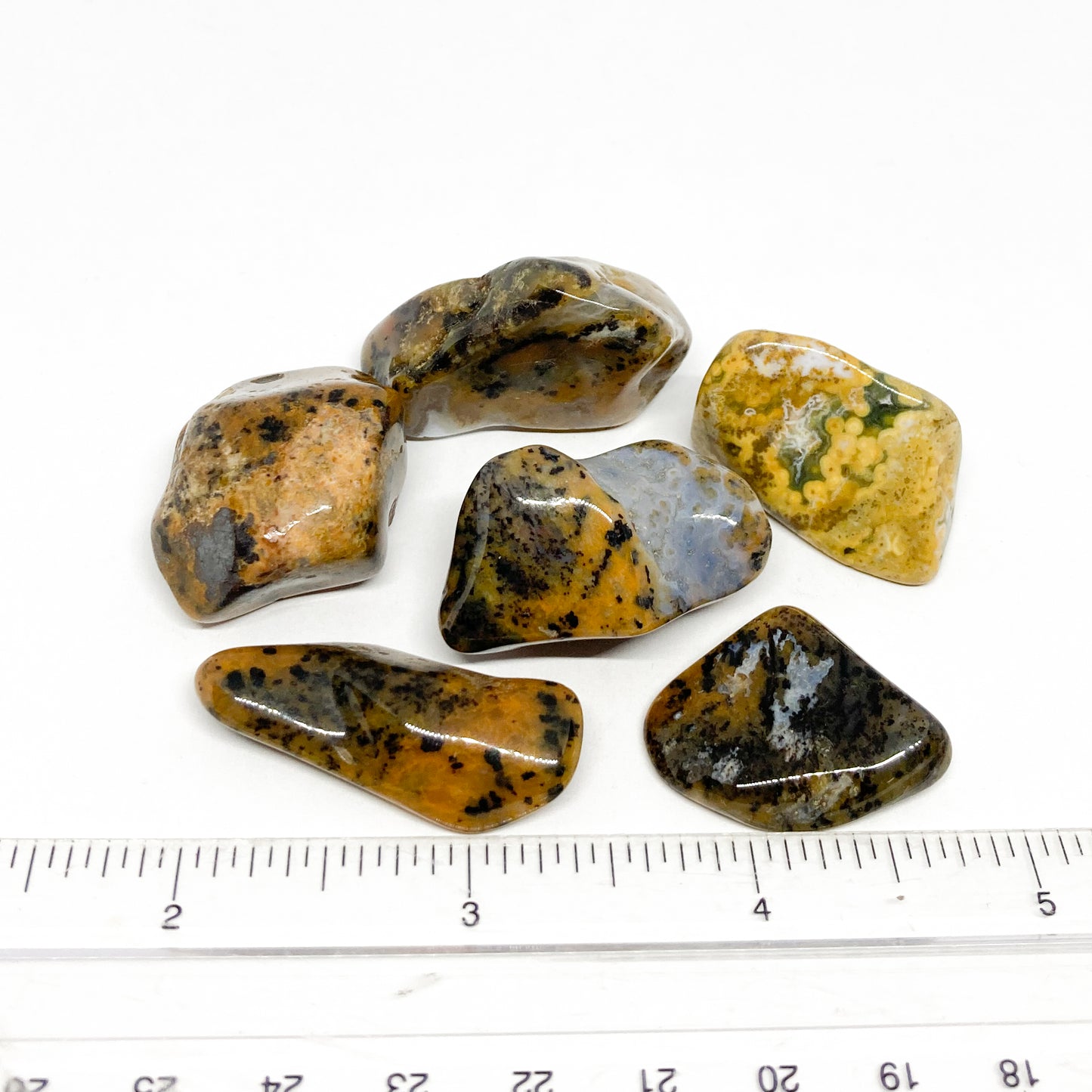 Agate Cheetah Tumbled