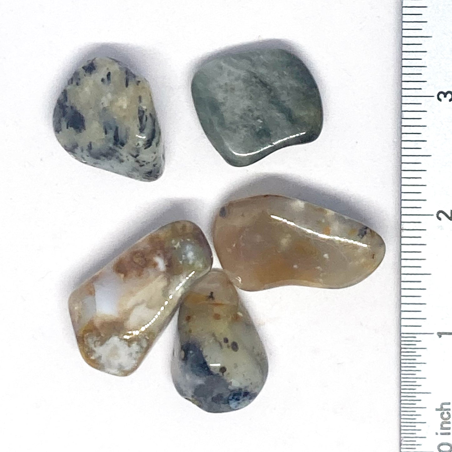 Agate Dendritic Tumbled