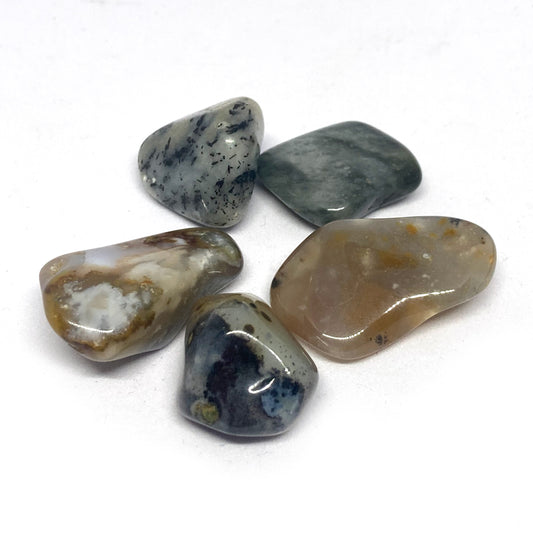 Agate Dendritic Tumbled