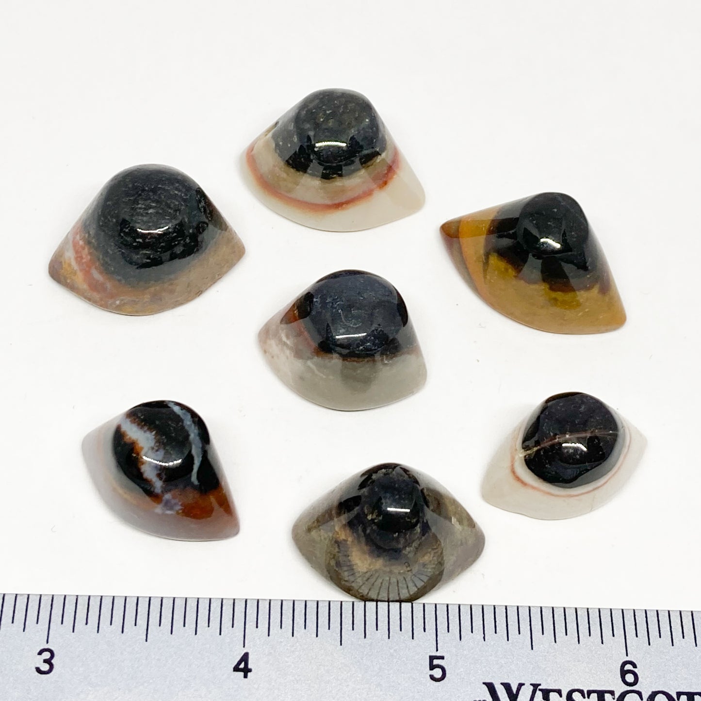 Agate Shiva Eye Tumbled