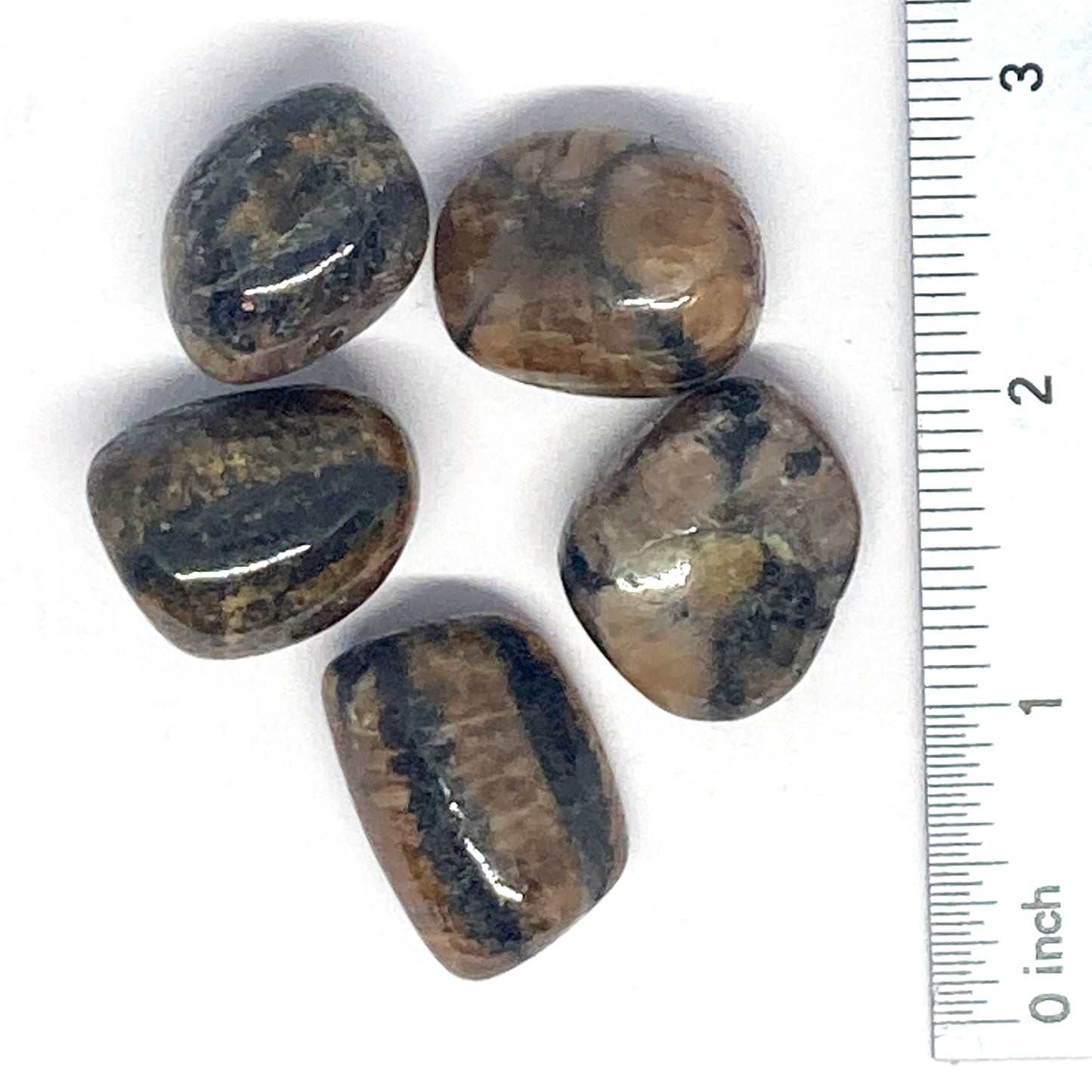 Chiastolite Andalucite Tumbled