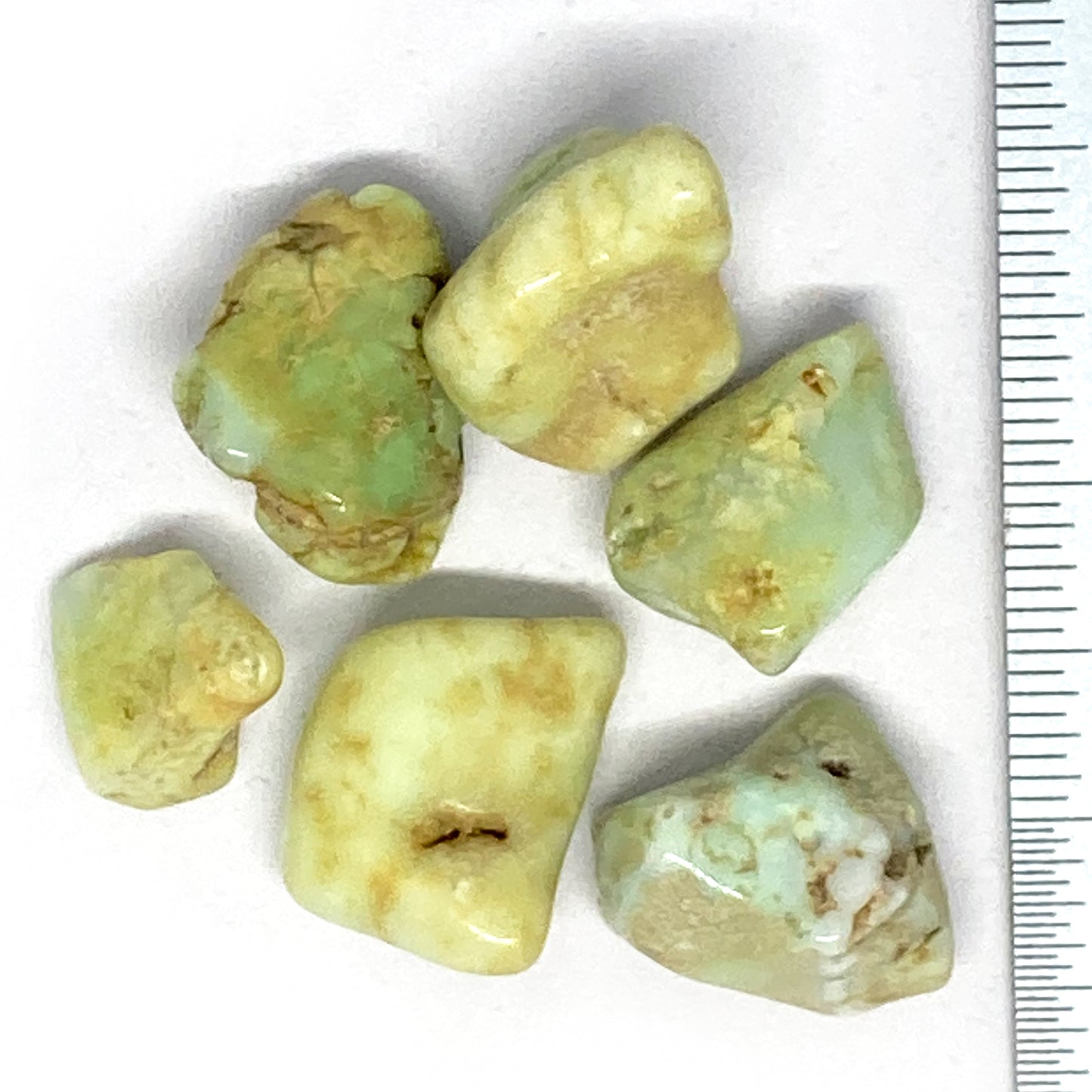 Chrysoprase Tumbled