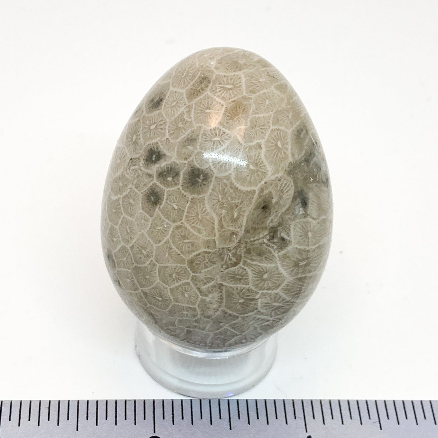 Coral Yoni Egg