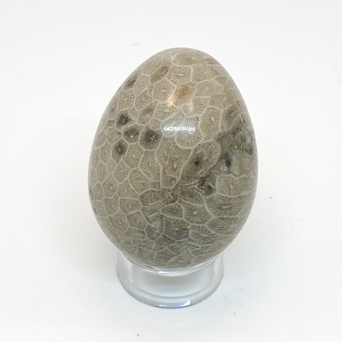 Coral Yoni Egg