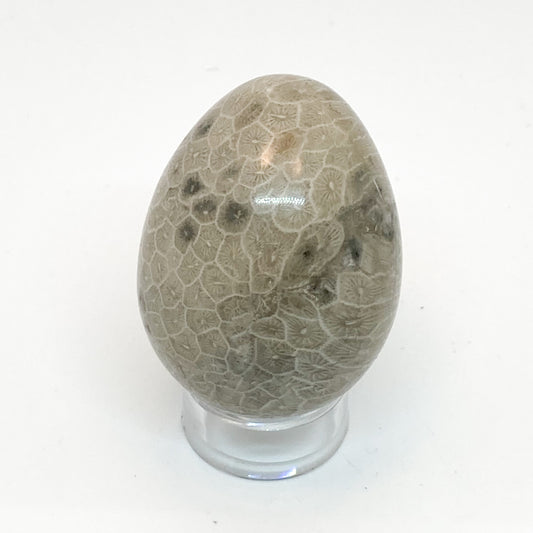 Coral Yoni Egg