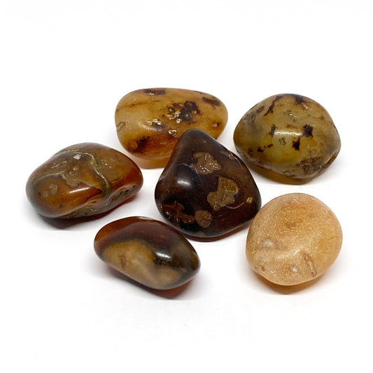 Carnelian Semi Raw