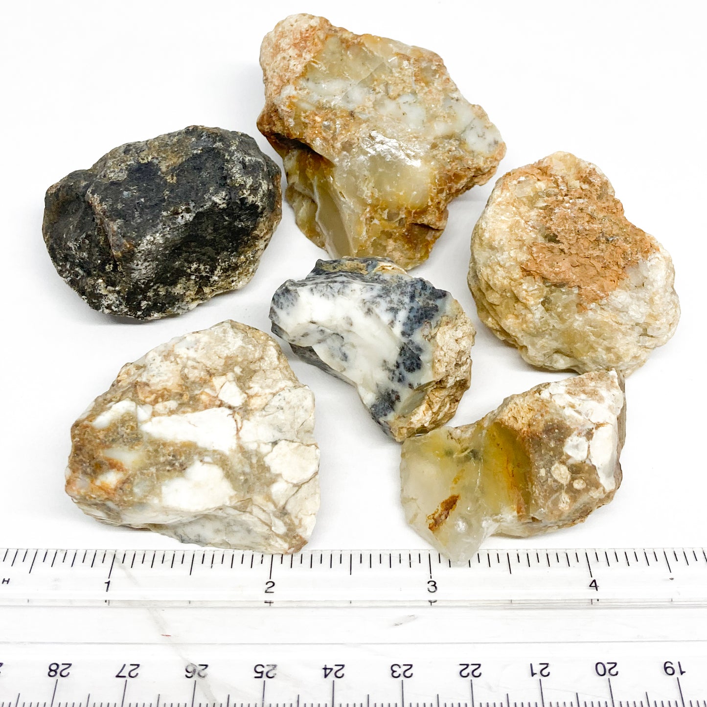 Dendrite Raw