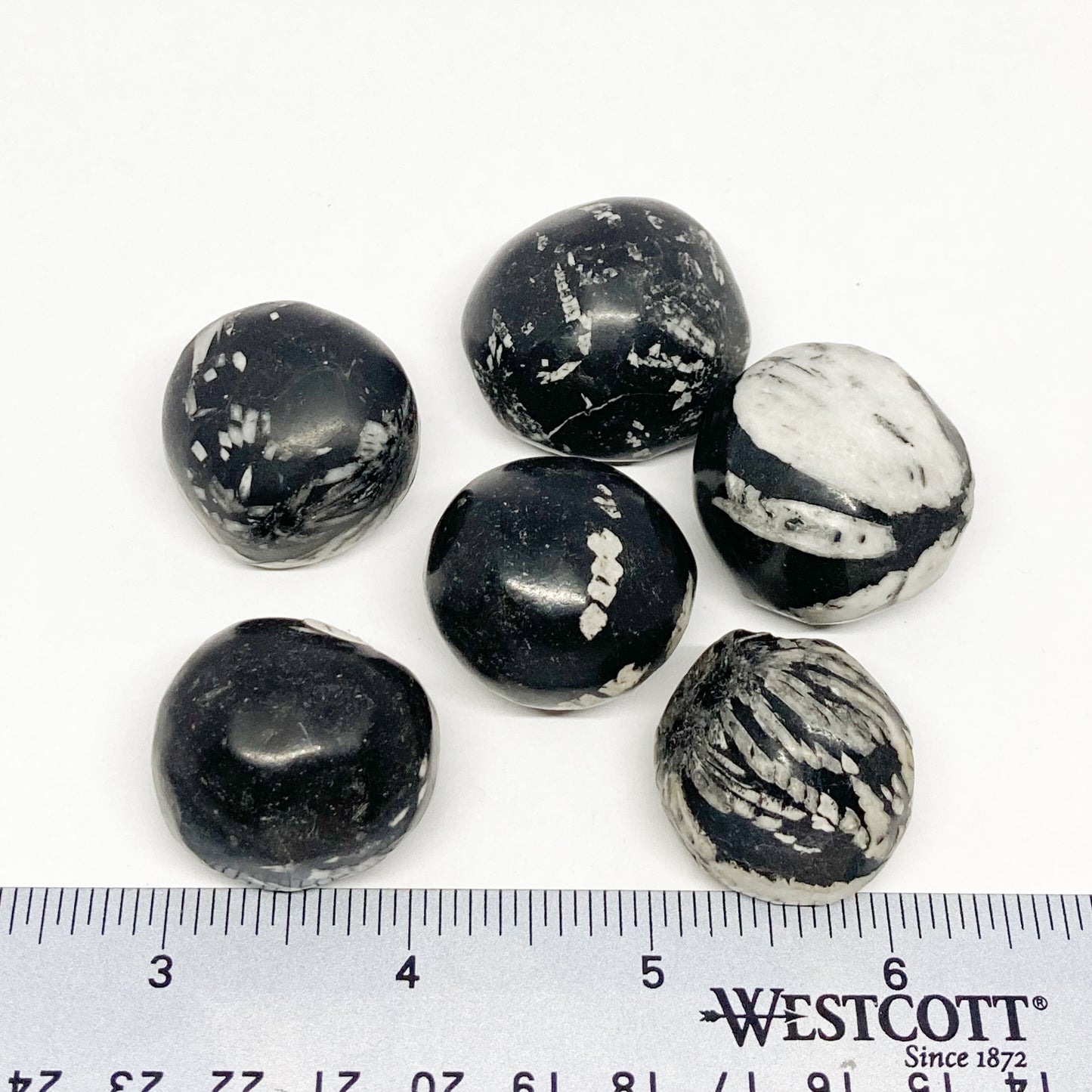 Obsidian Chrysanthemum Tumbled
