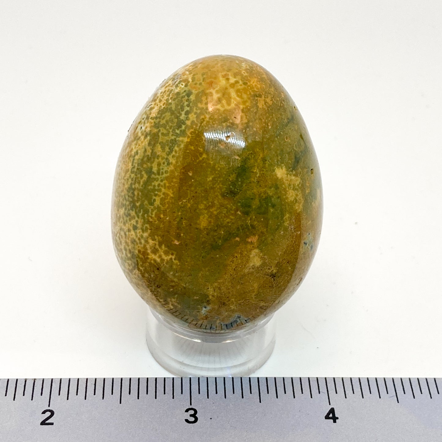 Ocean Jasper Yoni Egg
