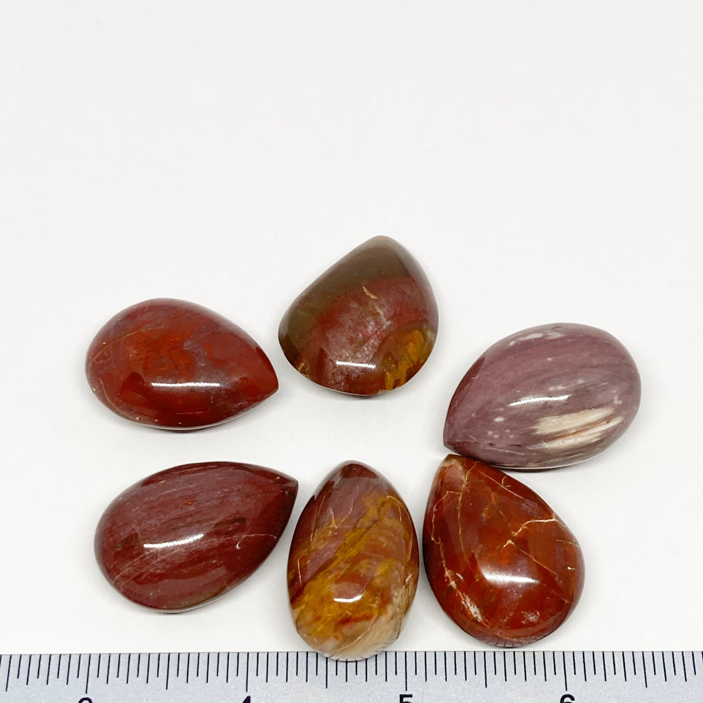 Petrified Wood Tumbled