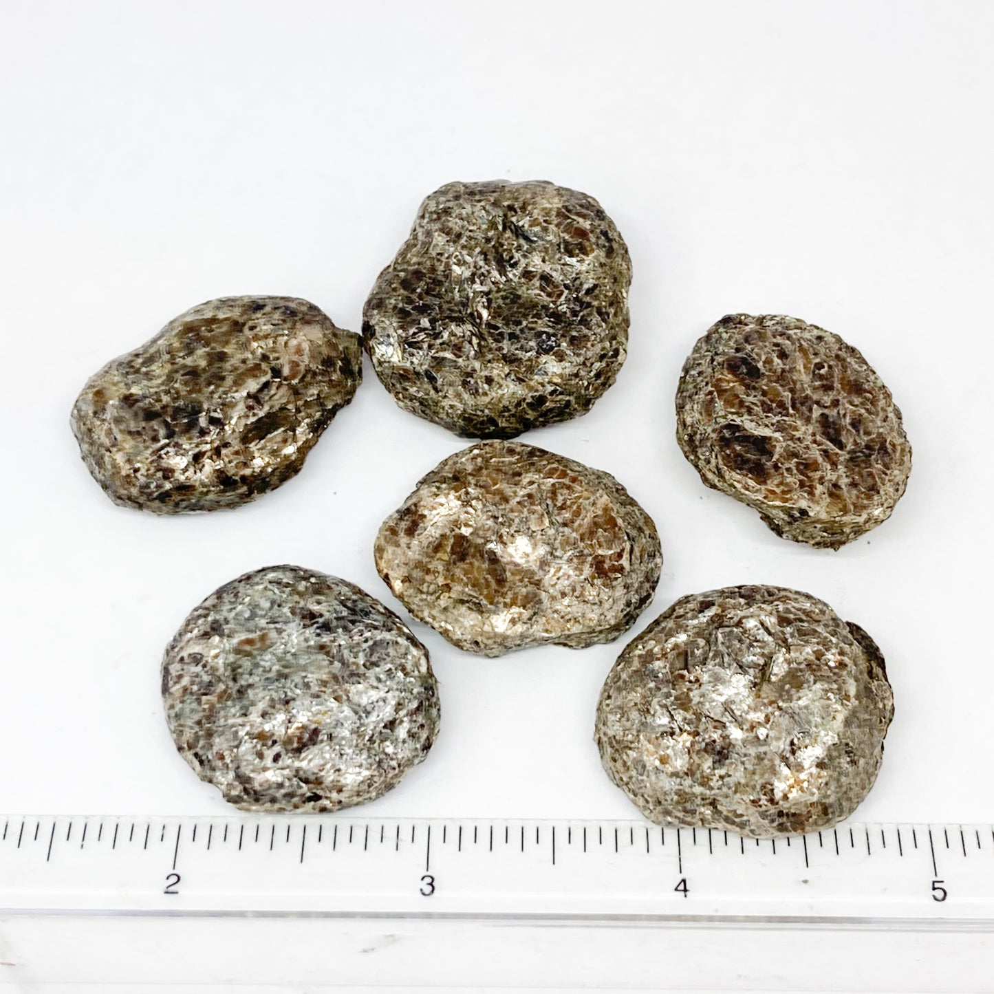 Phlogopite