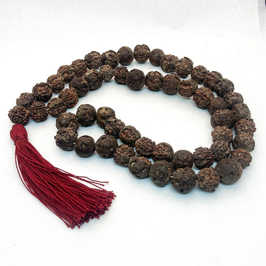 Rudra Seed Mala