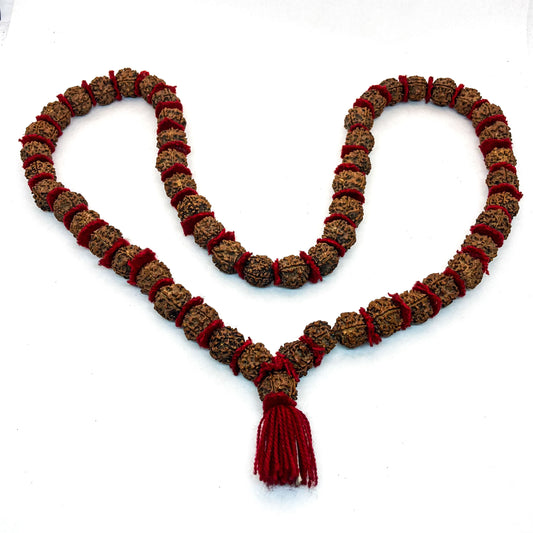 Rudra Seed Mala