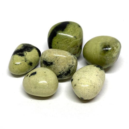 Serpentine Chytah Tumbled