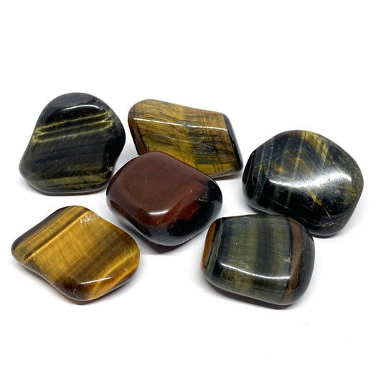 Tiger Eye Multicolored Tumbled