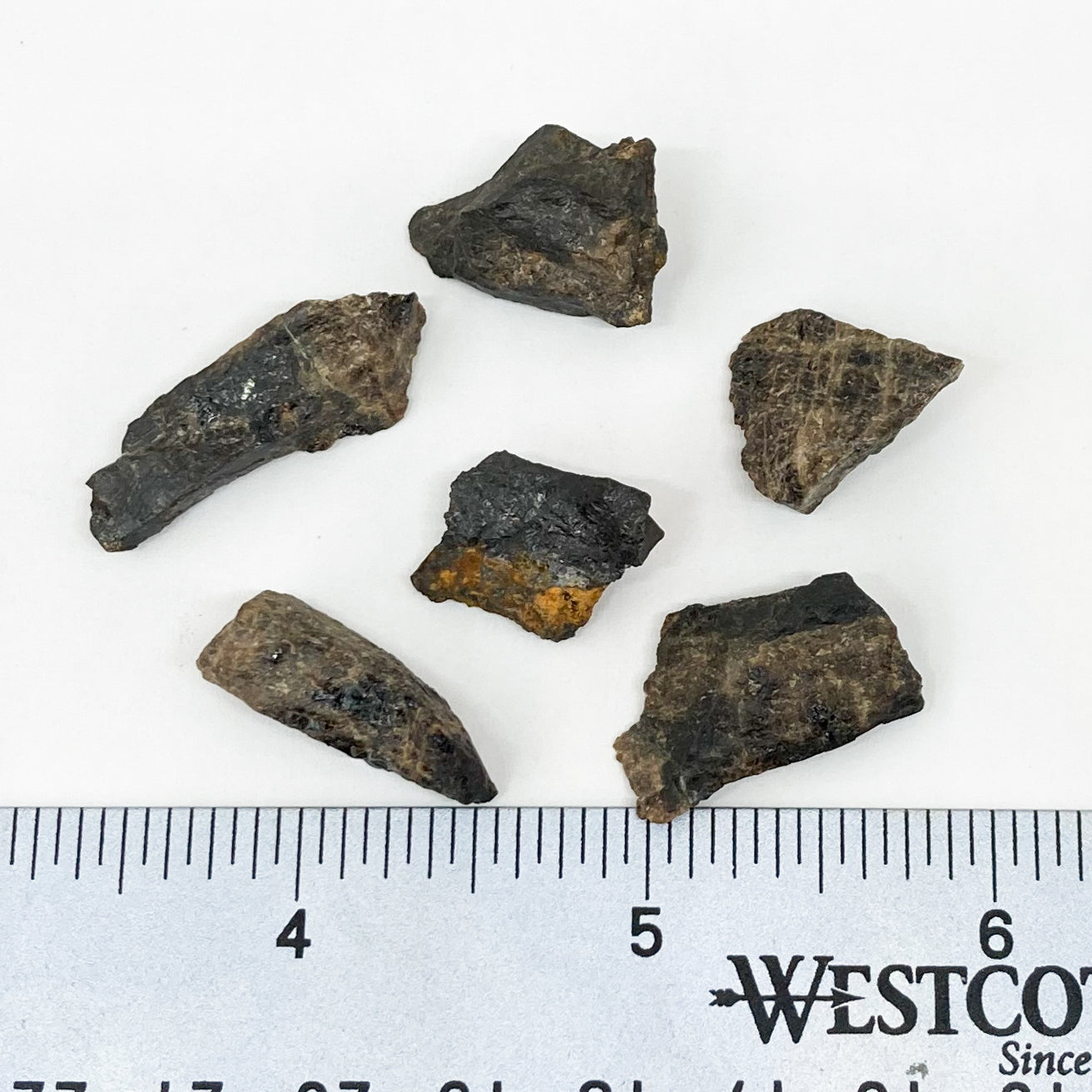 Triplite Raw
