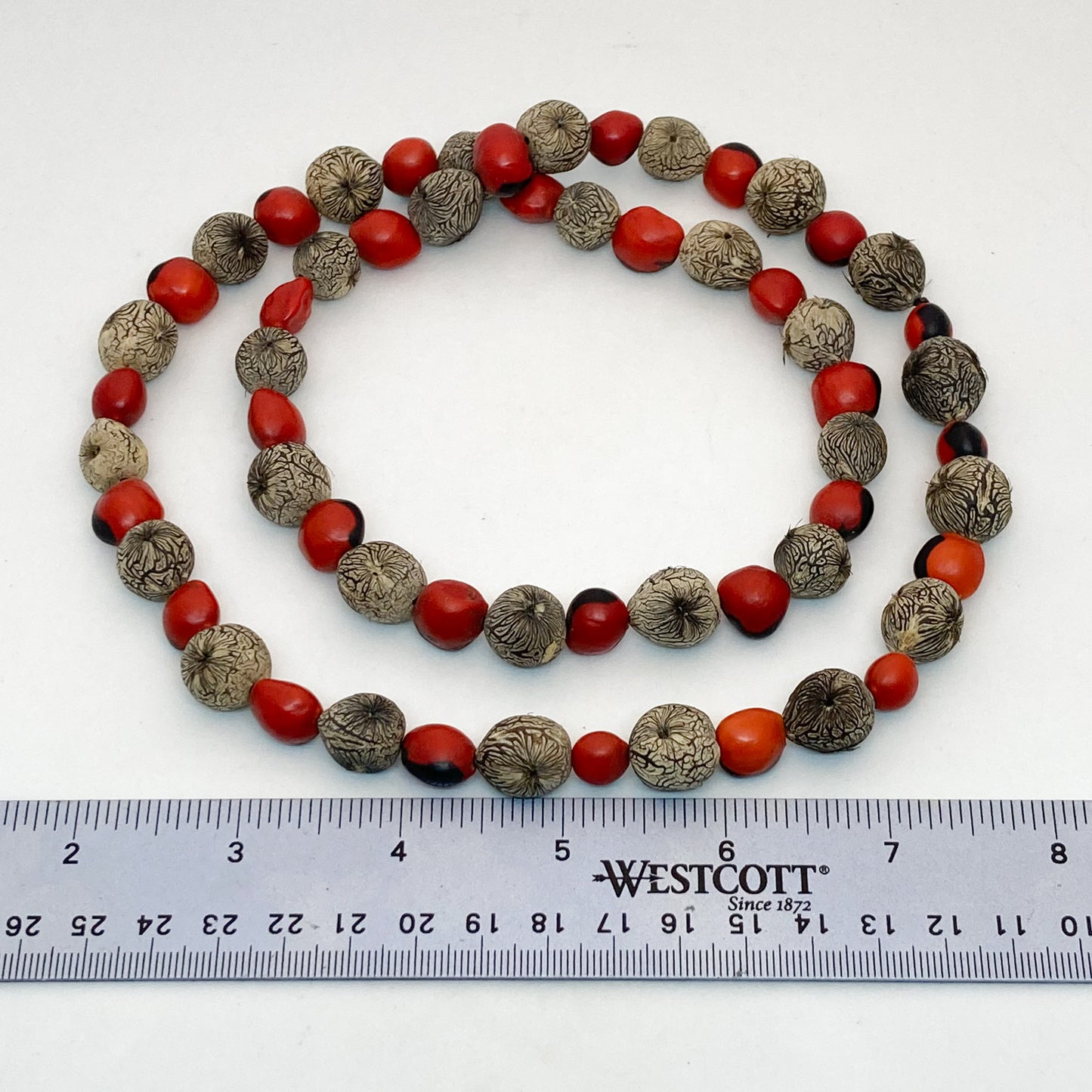 Wild Rainforest Seeds Necklace